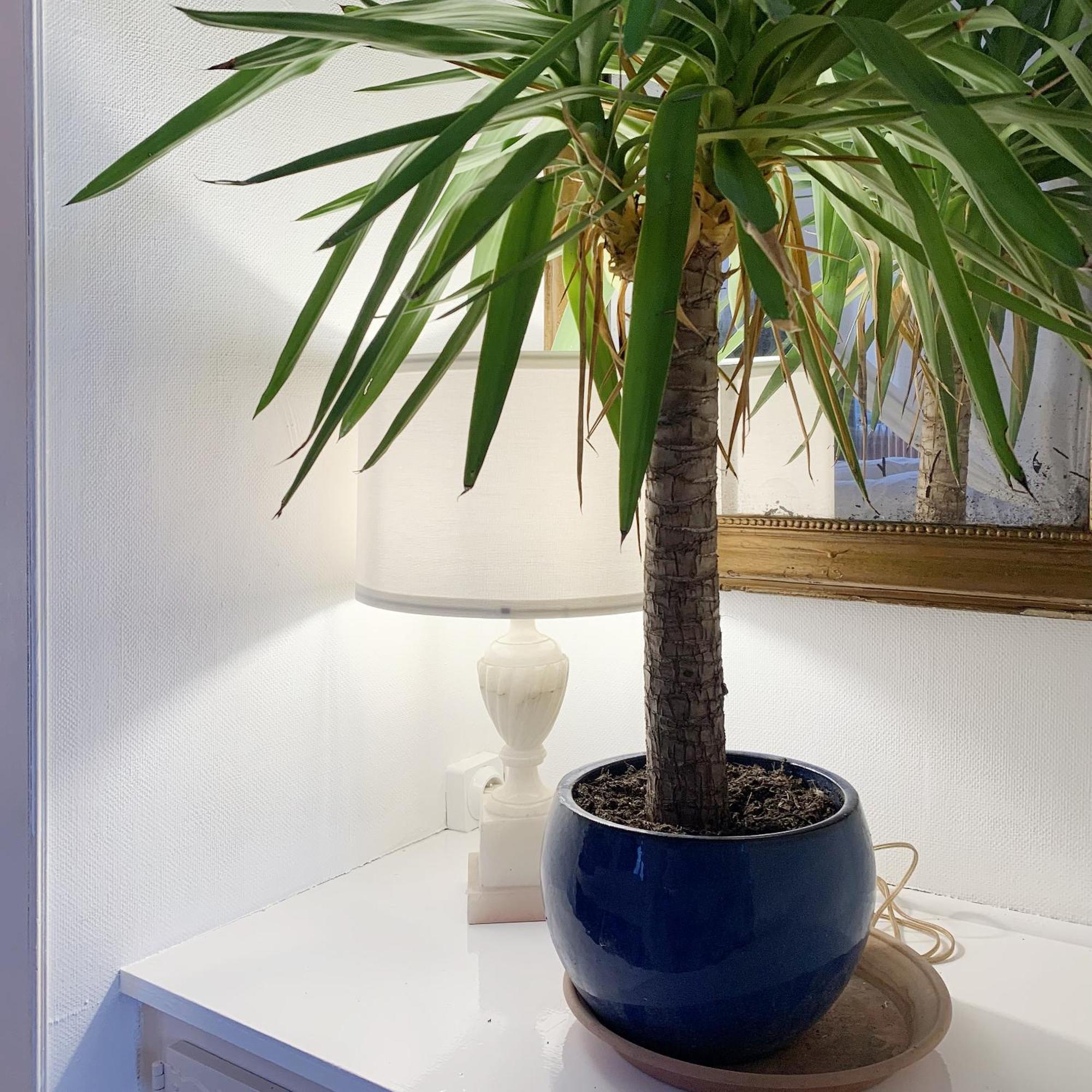 Appartements 4 Vents By La Boite En Plus Senlis  Luaran gambar